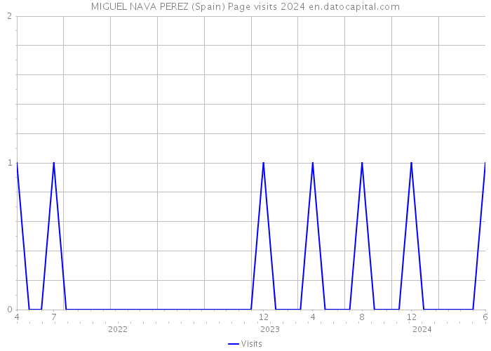 MIGUEL NAVA PEREZ (Spain) Page visits 2024 