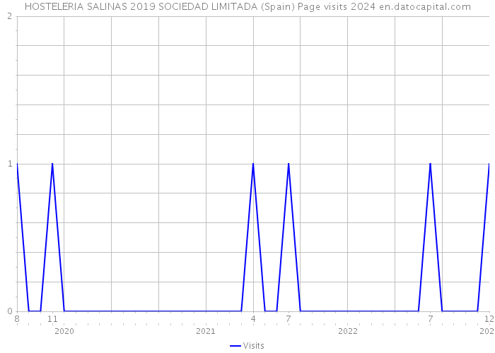 HOSTELERIA SALINAS 2019 SOCIEDAD LIMITADA (Spain) Page visits 2024 