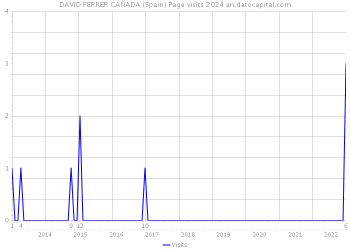 DAVID FERRER CAÑADA (Spain) Page visits 2024 