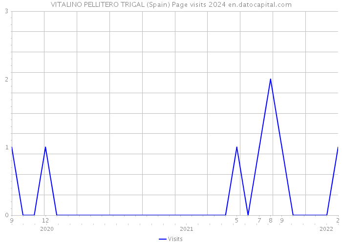 VITALINO PELLITERO TRIGAL (Spain) Page visits 2024 