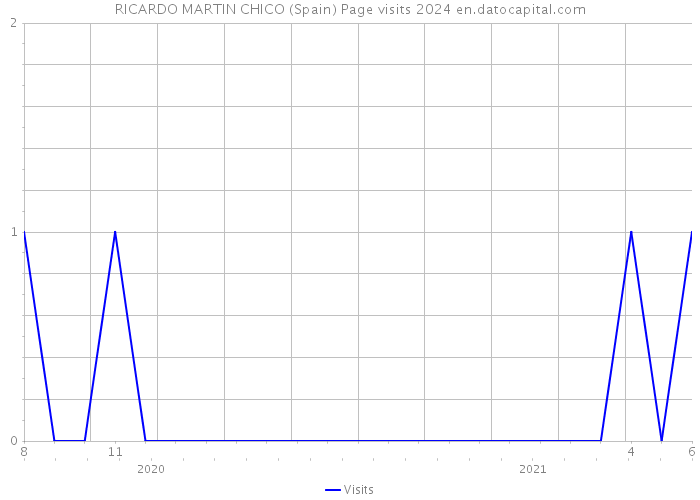 RICARDO MARTIN CHICO (Spain) Page visits 2024 