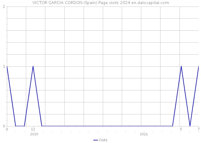 VICTOR GARCIA CORDON (Spain) Page visits 2024 