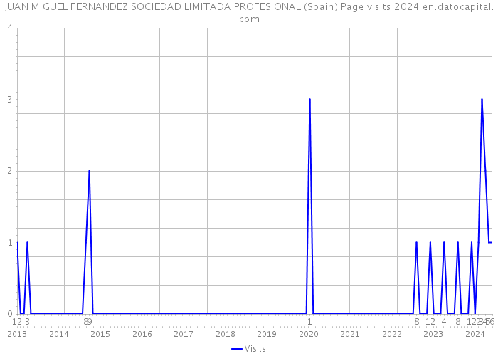 JUAN MIGUEL FERNANDEZ SOCIEDAD LIMITADA PROFESIONAL (Spain) Page visits 2024 