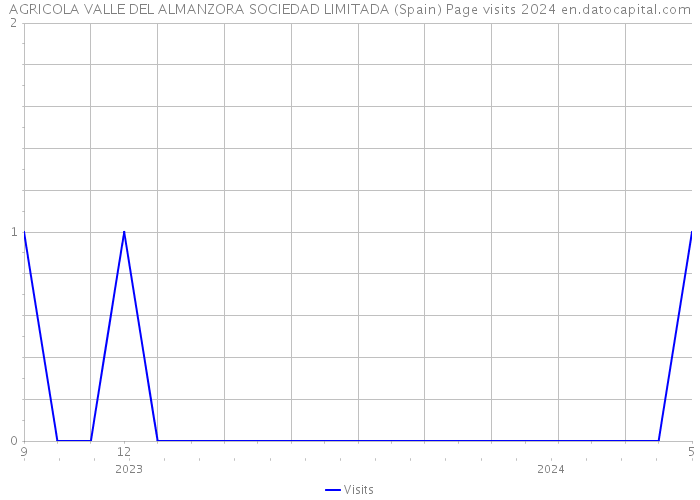 AGRICOLA VALLE DEL ALMANZORA SOCIEDAD LIMITADA (Spain) Page visits 2024 