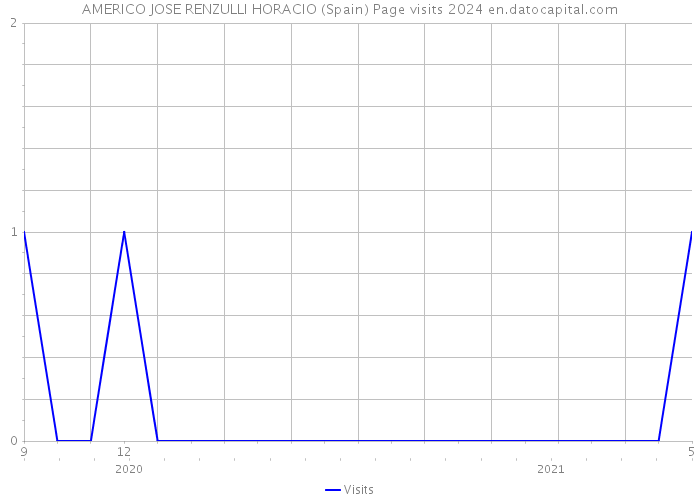 AMERICO JOSE RENZULLI HORACIO (Spain) Page visits 2024 