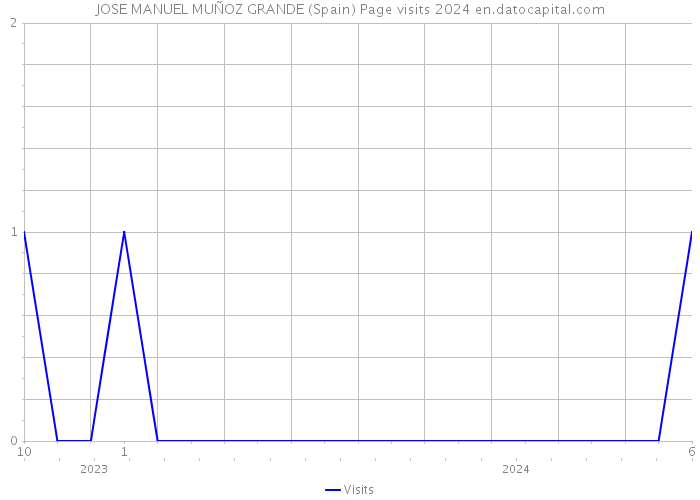 JOSE MANUEL MUÑOZ GRANDE (Spain) Page visits 2024 