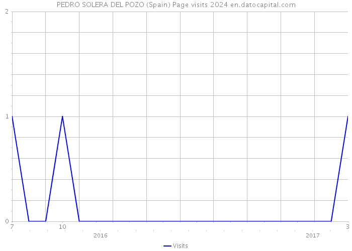 PEDRO SOLERA DEL POZO (Spain) Page visits 2024 
