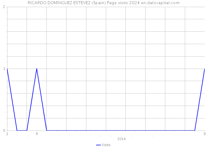 RICARDO DOMINGUEZ ESTEVEZ (Spain) Page visits 2024 