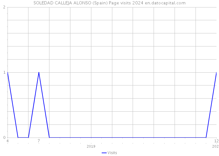 SOLEDAD CALLEJA ALONSO (Spain) Page visits 2024 