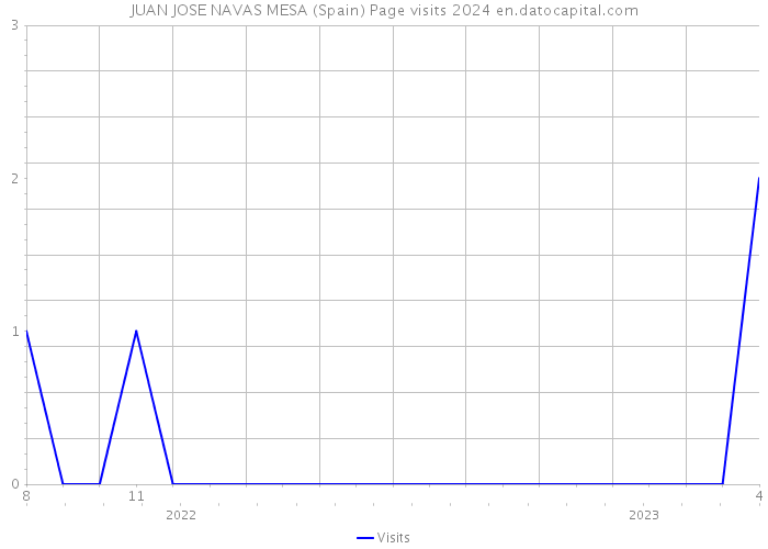 JUAN JOSE NAVAS MESA (Spain) Page visits 2024 