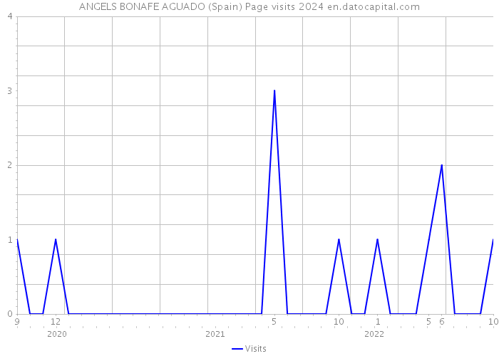 ANGELS BONAFE AGUADO (Spain) Page visits 2024 