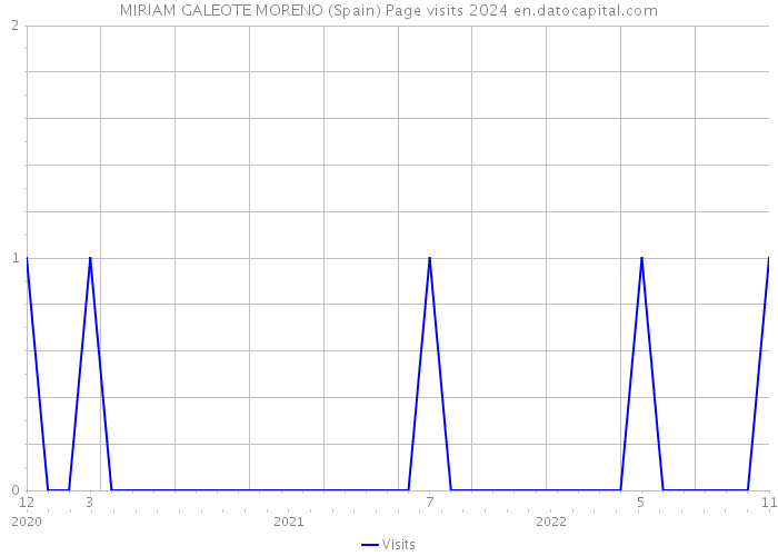 MIRIAM GALEOTE MORENO (Spain) Page visits 2024 
