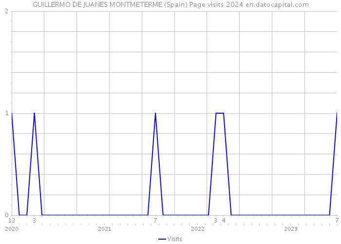 GUILLERMO DE JUANES MONTMETERME (Spain) Page visits 2024 