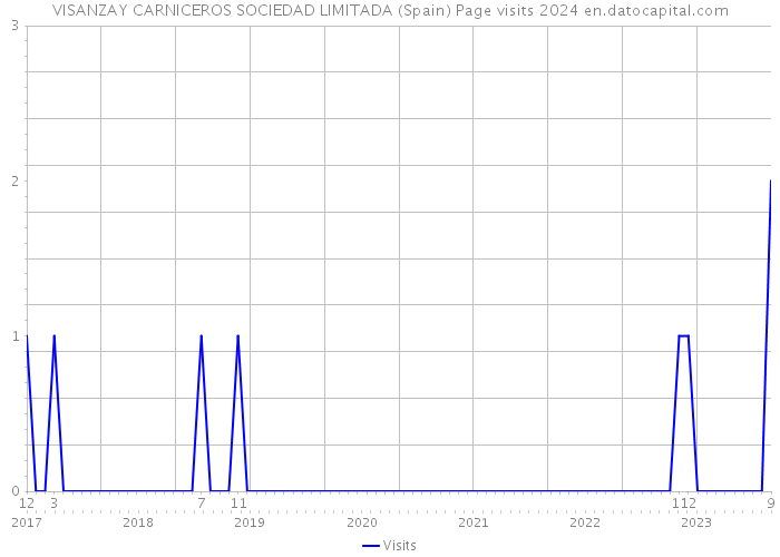 VISANZAY CARNICEROS SOCIEDAD LIMITADA (Spain) Page visits 2024 