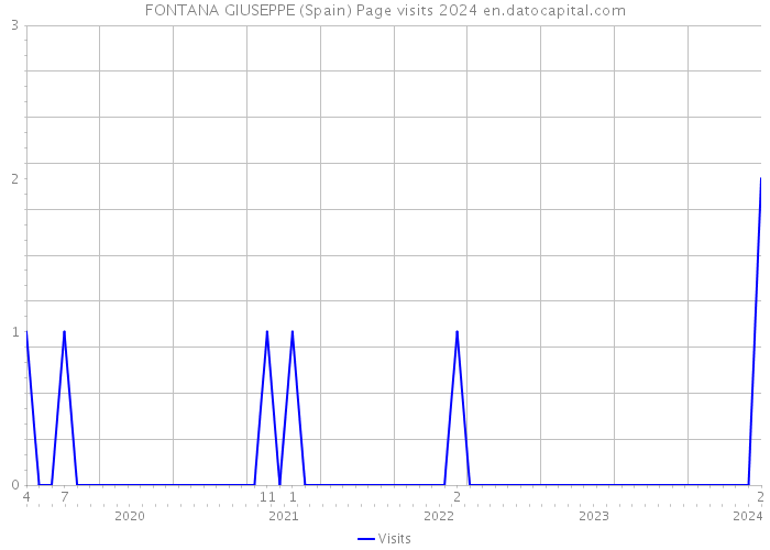 FONTANA GIUSEPPE (Spain) Page visits 2024 