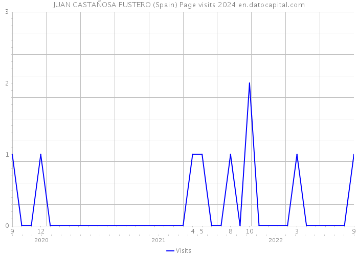 JUAN CASTAÑOSA FUSTERO (Spain) Page visits 2024 