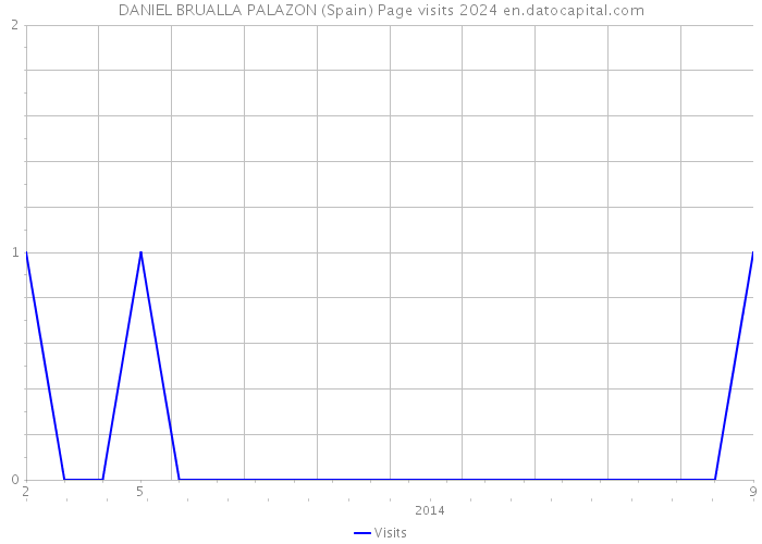 DANIEL BRUALLA PALAZON (Spain) Page visits 2024 