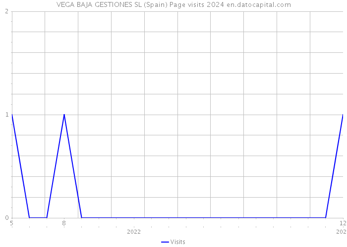 VEGA BAJA GESTIONES SL (Spain) Page visits 2024 