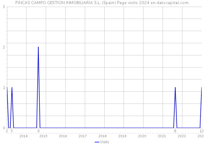 FINCAS CAMPO GESTION INMOBILIARIA S.L. (Spain) Page visits 2024 