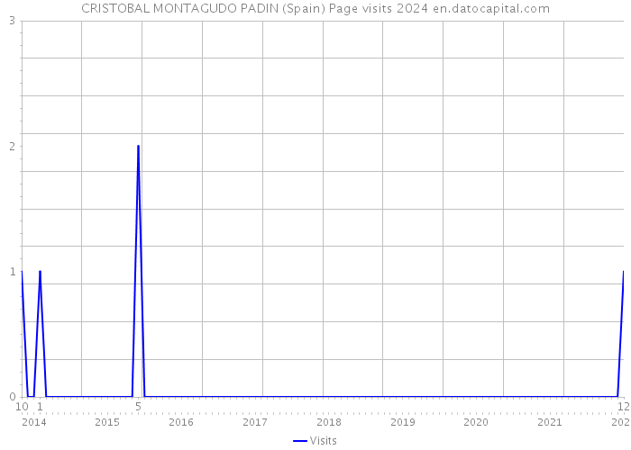 CRISTOBAL MONTAGUDO PADIN (Spain) Page visits 2024 