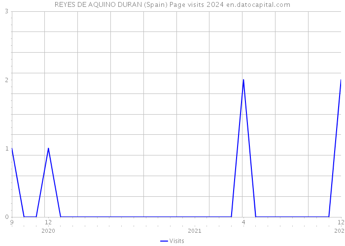 REYES DE AQUINO DURAN (Spain) Page visits 2024 