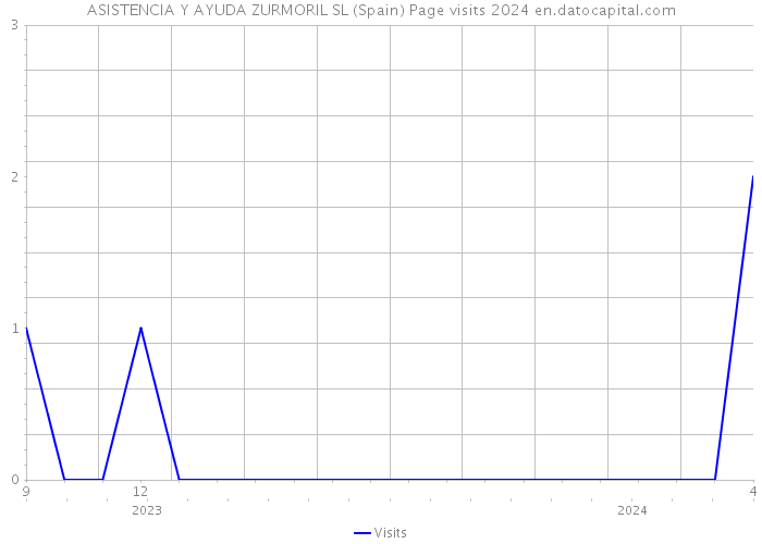 ASISTENCIA Y AYUDA ZURMORIL SL (Spain) Page visits 2024 