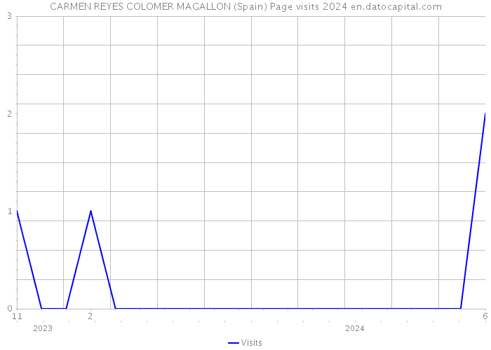 CARMEN REYES COLOMER MAGALLON (Spain) Page visits 2024 