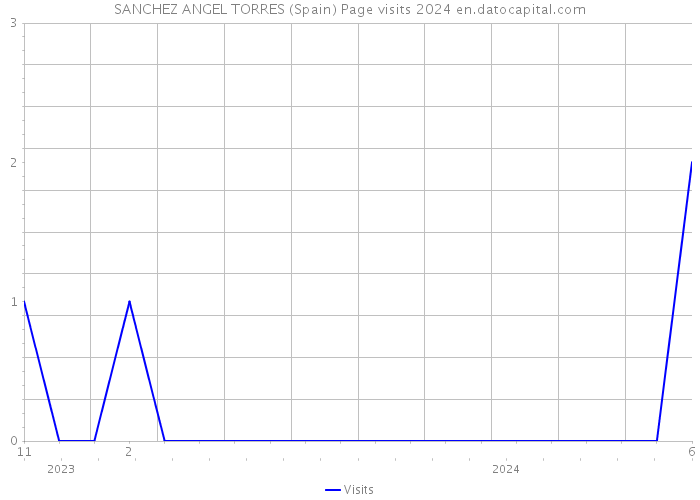 SANCHEZ ANGEL TORRES (Spain) Page visits 2024 