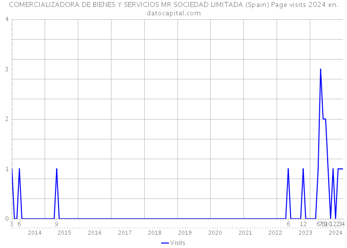 COMERCIALIZADORA DE BIENES Y SERVICIOS MR SOCIEDAD LIMITADA (Spain) Page visits 2024 