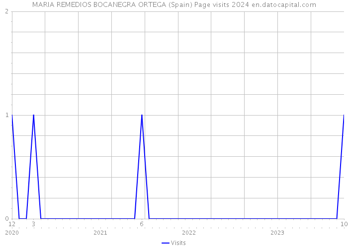 MARIA REMEDIOS BOCANEGRA ORTEGA (Spain) Page visits 2024 