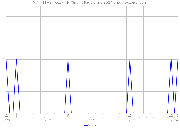 MATTHIAS HOLLMAN (Spain) Page visits 2024 