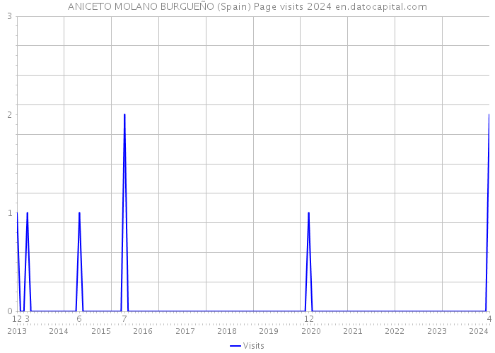 ANICETO MOLANO BURGUEÑO (Spain) Page visits 2024 