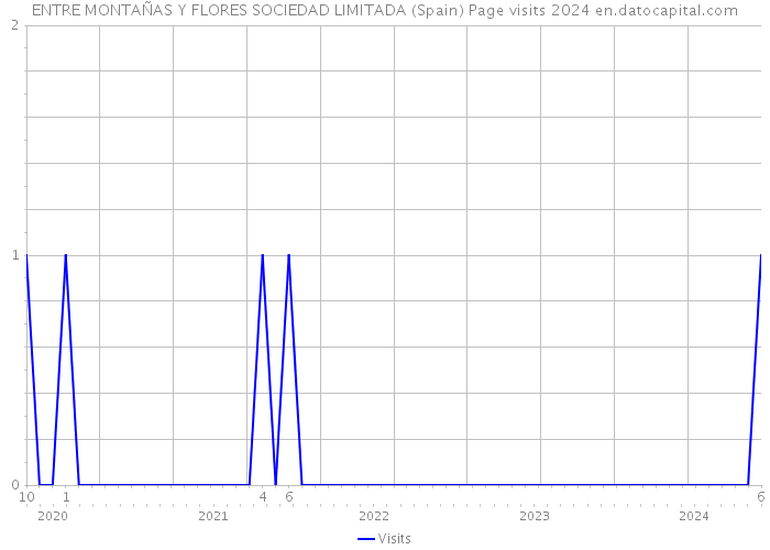 ENTRE MONTAÑAS Y FLORES SOCIEDAD LIMITADA (Spain) Page visits 2024 