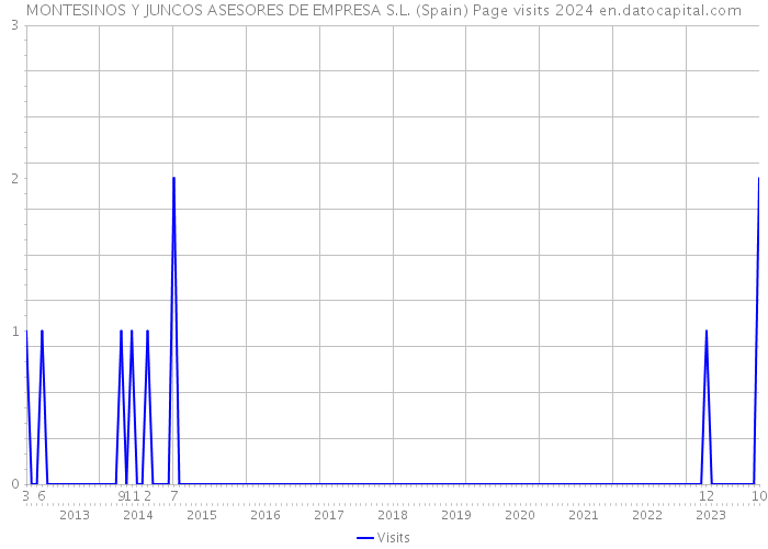 MONTESINOS Y JUNCOS ASESORES DE EMPRESA S.L. (Spain) Page visits 2024 