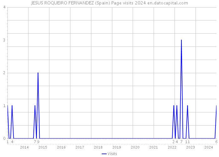 JESUS ROQUEIRO FERNANDEZ (Spain) Page visits 2024 