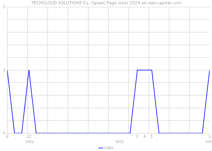 TECHCLOUD SOLUTIONS S.L. (Spain) Page visits 2024 
