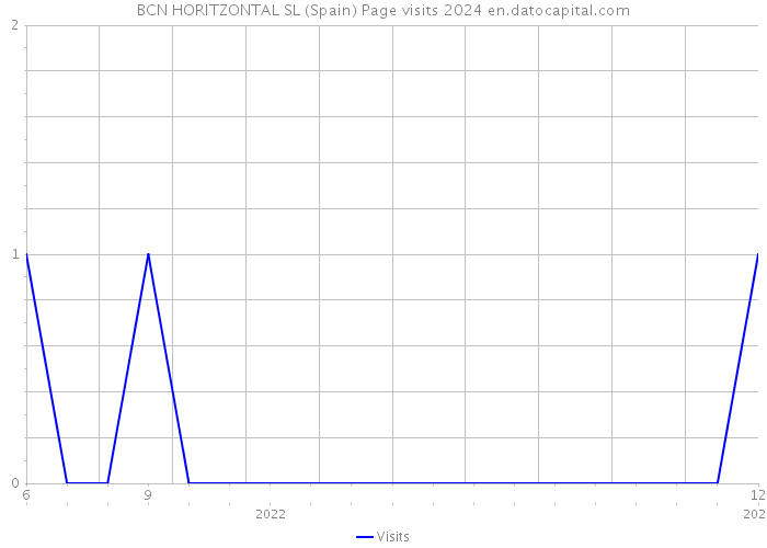 BCN HORITZONTAL SL (Spain) Page visits 2024 