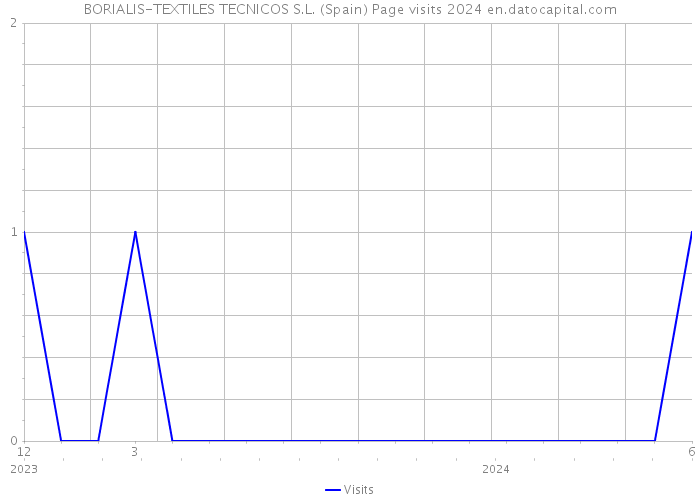 BORIALIS-TEXTILES TECNICOS S.L. (Spain) Page visits 2024 