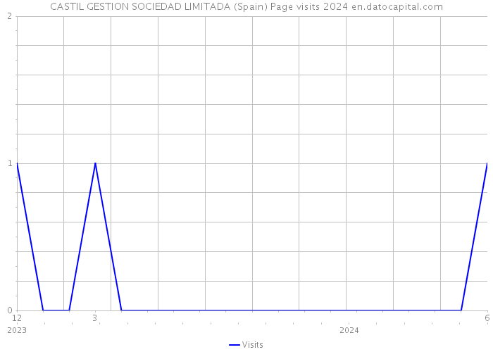 CASTIL GESTION SOCIEDAD LIMITADA (Spain) Page visits 2024 