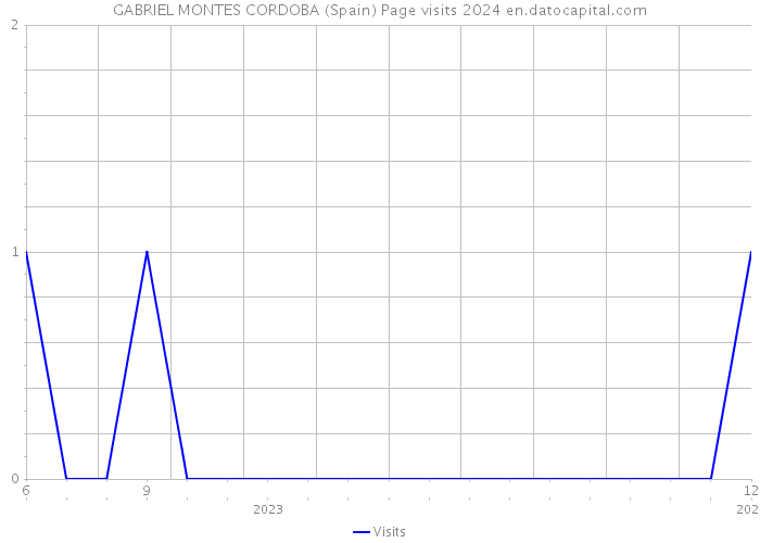 GABRIEL MONTES CORDOBA (Spain) Page visits 2024 