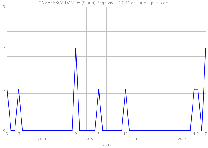 CAMESASCA DAVIDE (Spain) Page visits 2024 