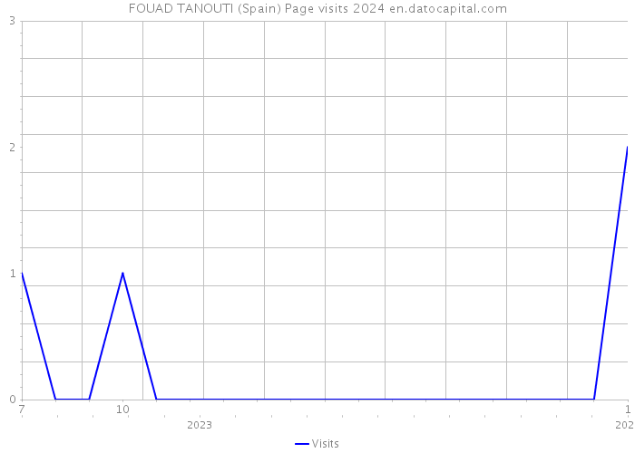FOUAD TANOUTI (Spain) Page visits 2024 