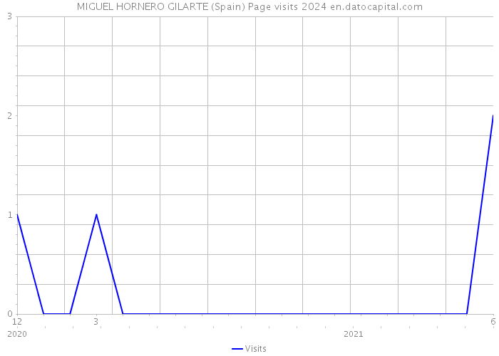 MIGUEL HORNERO GILARTE (Spain) Page visits 2024 