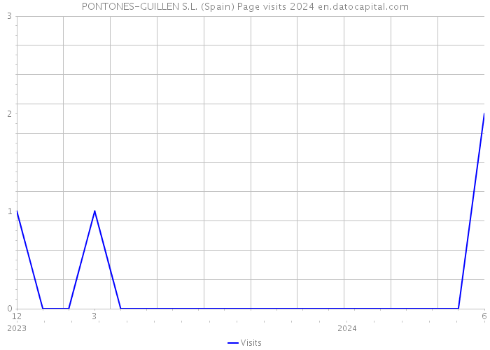 PONTONES-GUILLEN S.L. (Spain) Page visits 2024 
