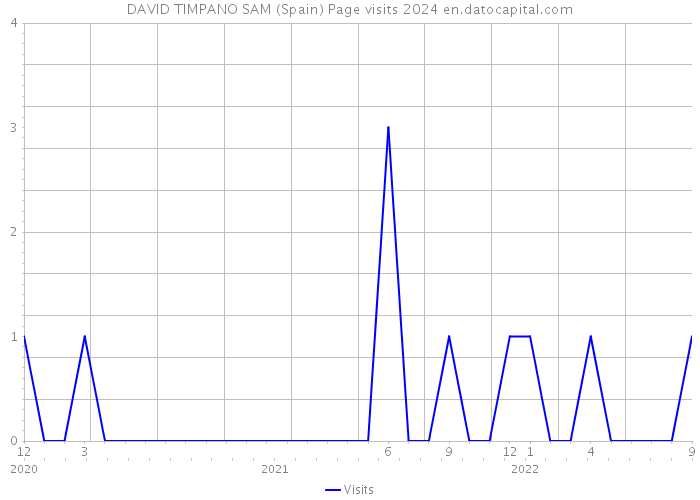 DAVID TIMPANO SAM (Spain) Page visits 2024 