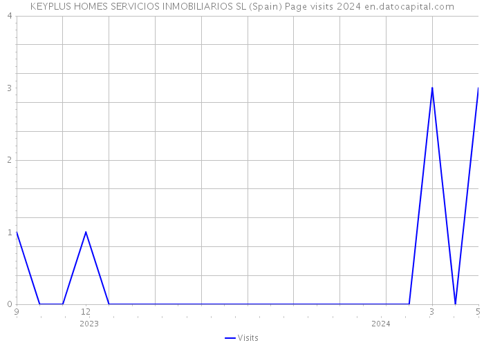 KEYPLUS HOMES SERVICIOS INMOBILIARIOS SL (Spain) Page visits 2024 