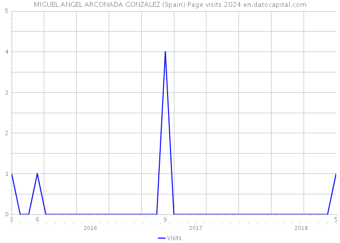 MIGUEL ANGEL ARCONADA GONZALEZ (Spain) Page visits 2024 