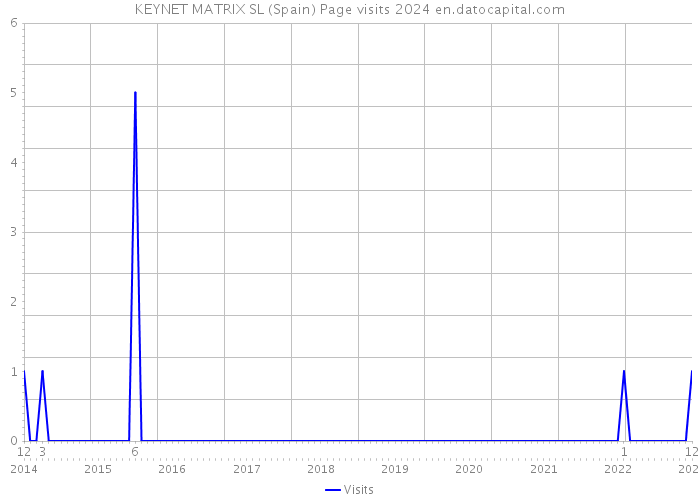 KEYNET MATRIX SL (Spain) Page visits 2024 