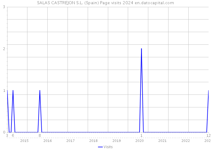 SALAS CASTREJON S.L. (Spain) Page visits 2024 