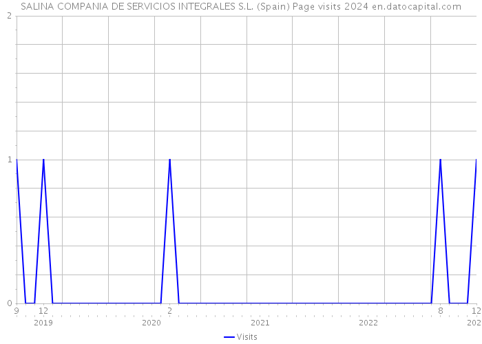 SALINA COMPANIA DE SERVICIOS INTEGRALES S.L. (Spain) Page visits 2024 